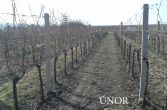 únor